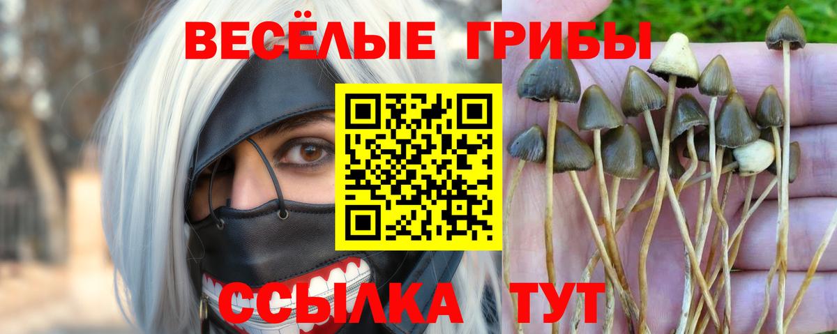 Псилоцибиновые грибы MAGIC MUSHROOMS Тында